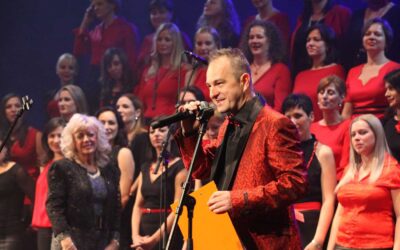 Tisztségek, kulturális tevékenységek